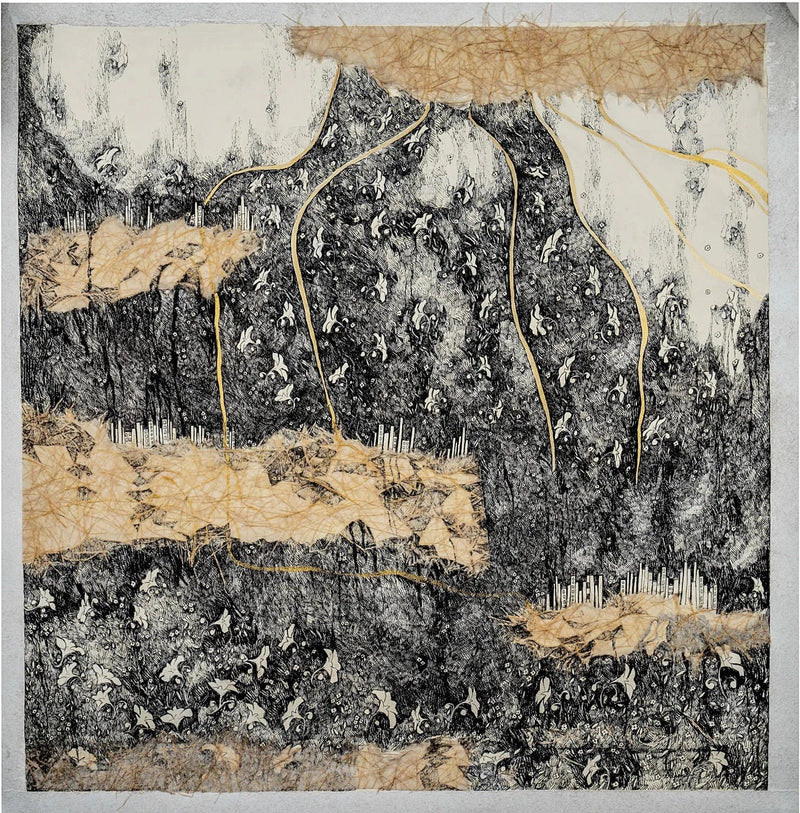 Collection Image