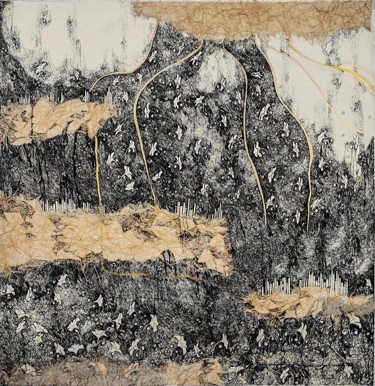 Collection Image