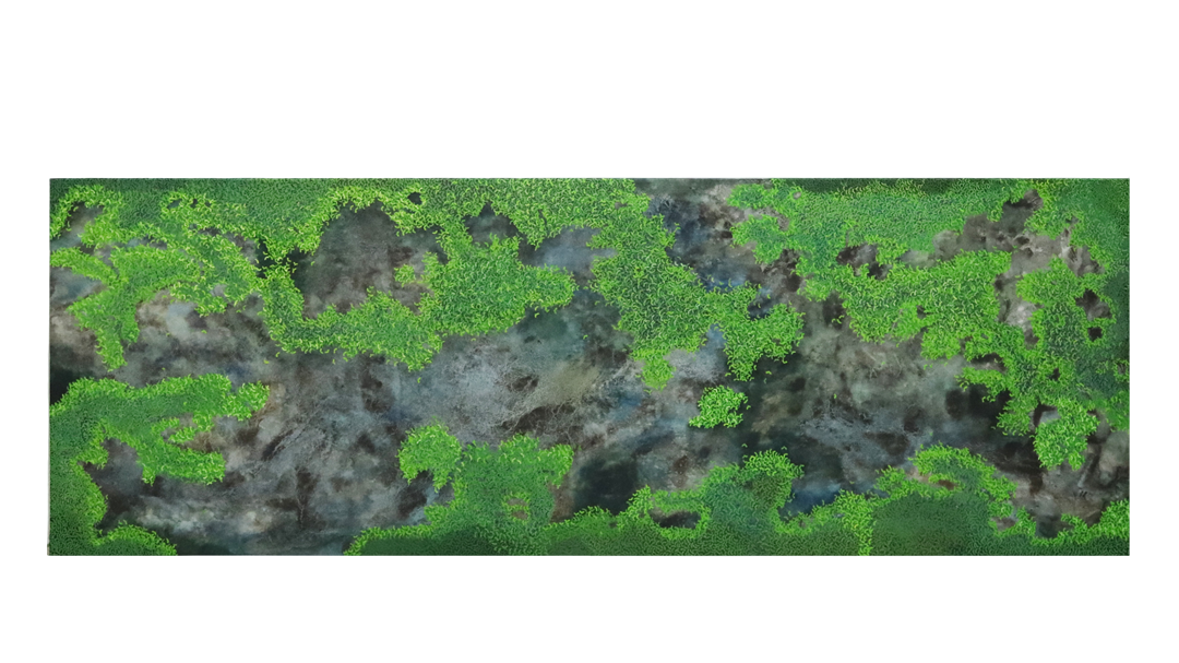 Duckweed on Pond II