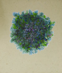 Lichen II