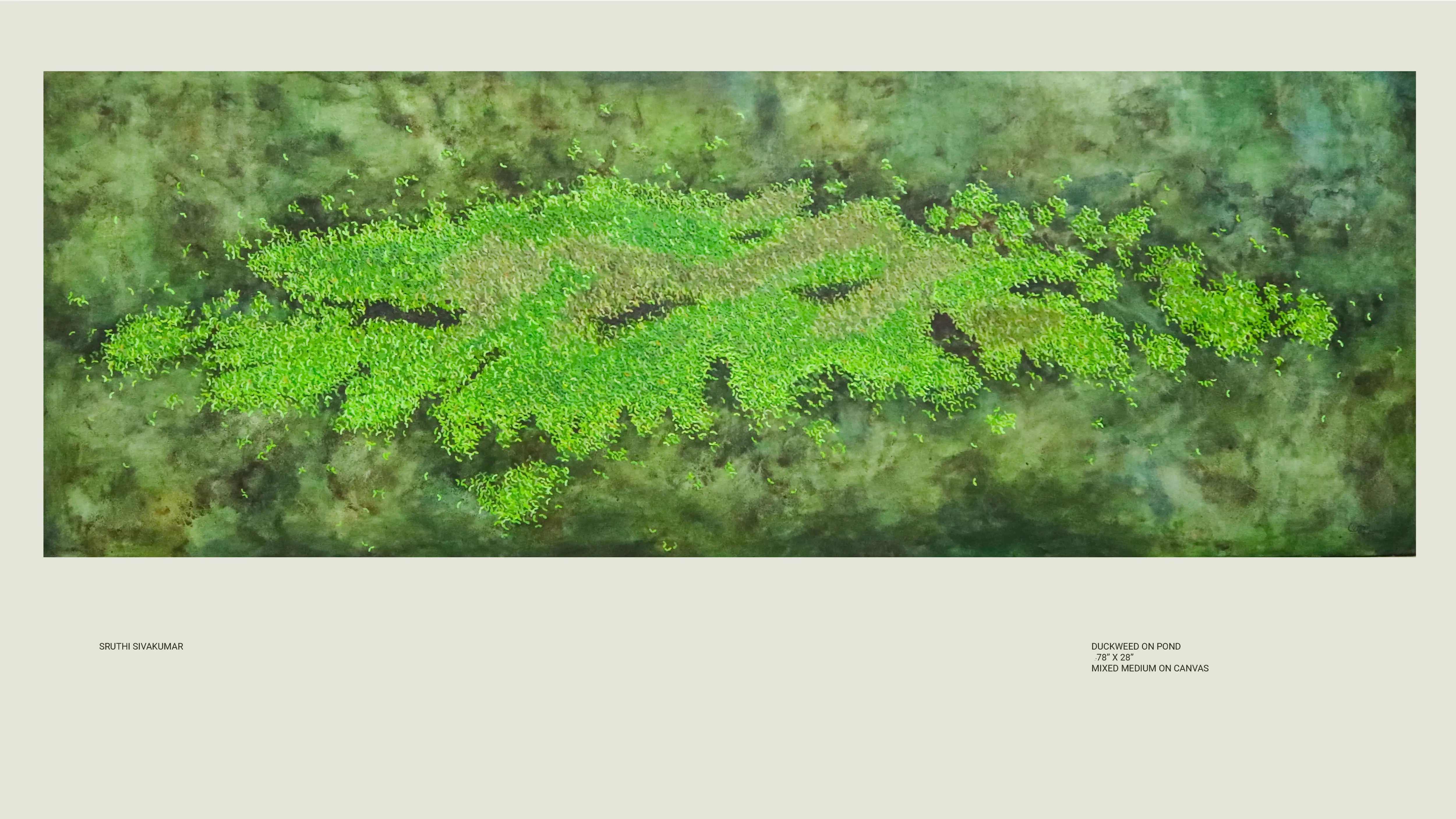 Duckweed on Pond (2019)