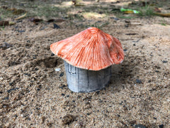 A mud house from Shantiniketan