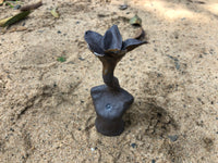 Women Torso