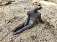 Fallen Form