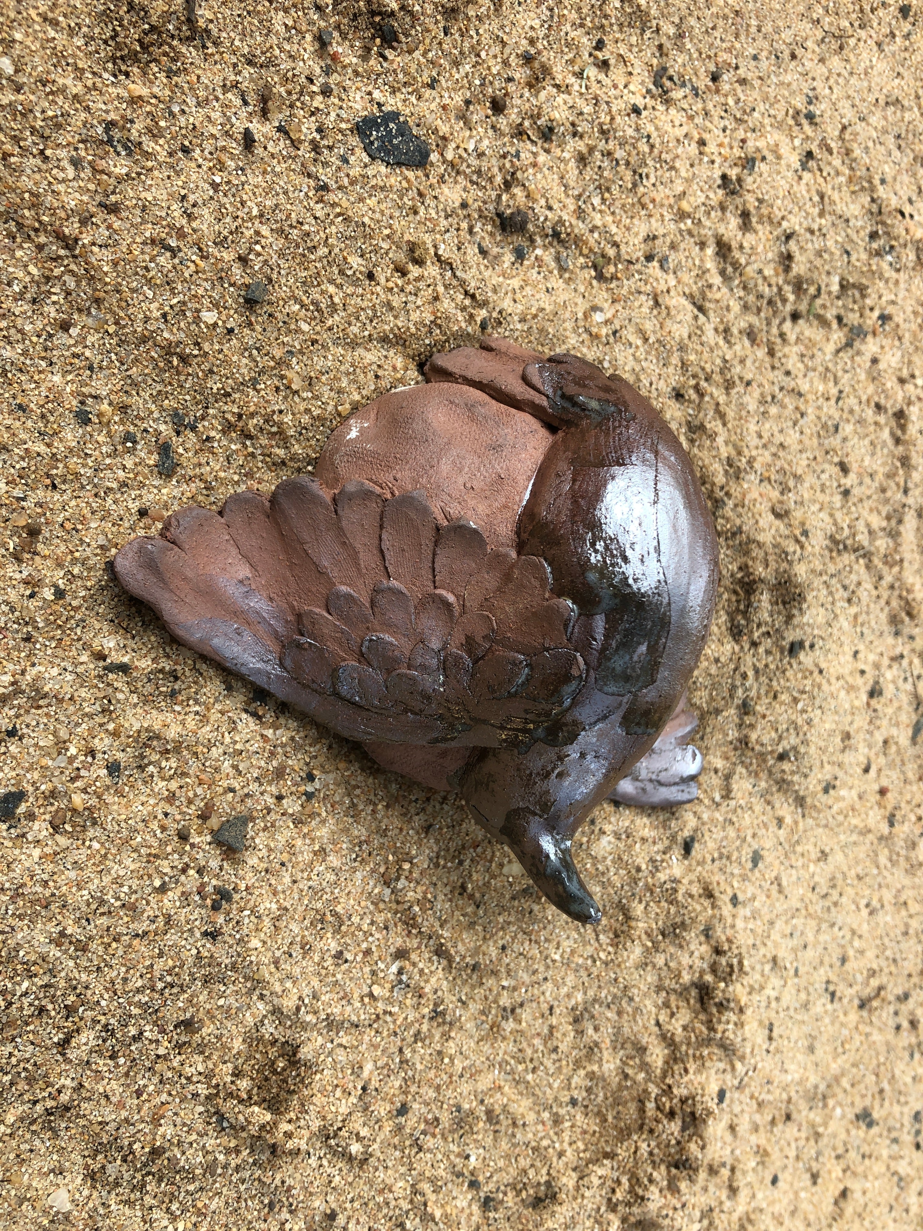 Fallen bird