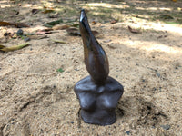 Female Torso