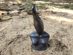 Female Torso